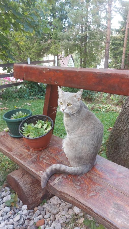 Guest House Milena ชาเบลียค ภายนอก รูปภาพ